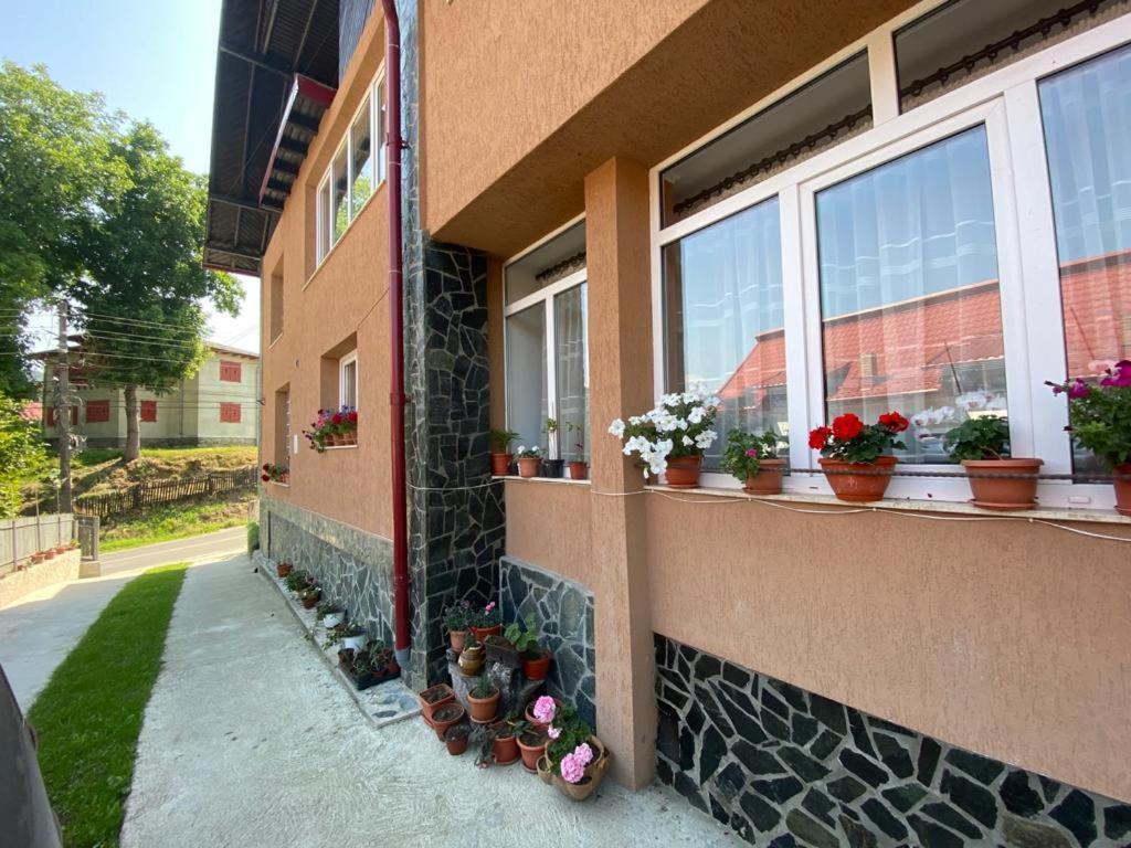 Casa Diana-Maria Apartment Curtea De Arges Bagian luar foto