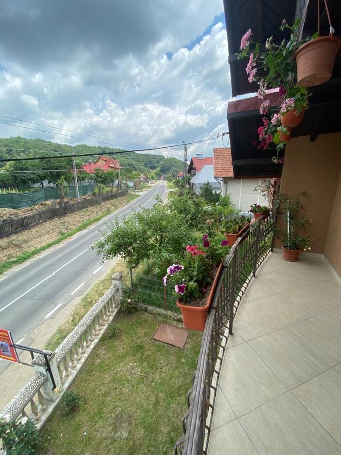 Casa Diana-Maria Apartment Curtea De Arges Bagian luar foto