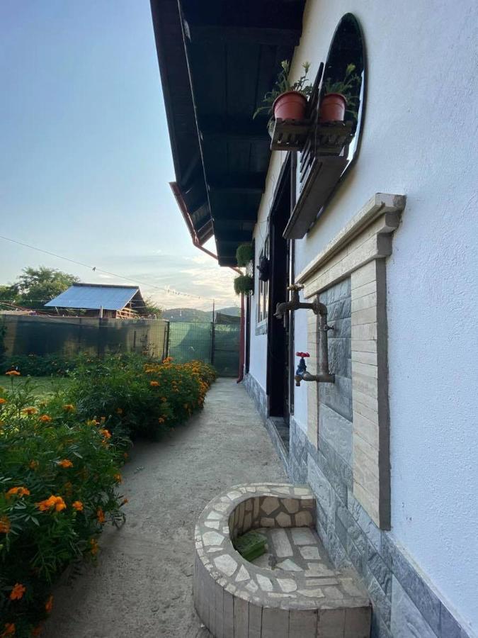 Casa Diana-Maria Apartment Curtea De Arges Bagian luar foto