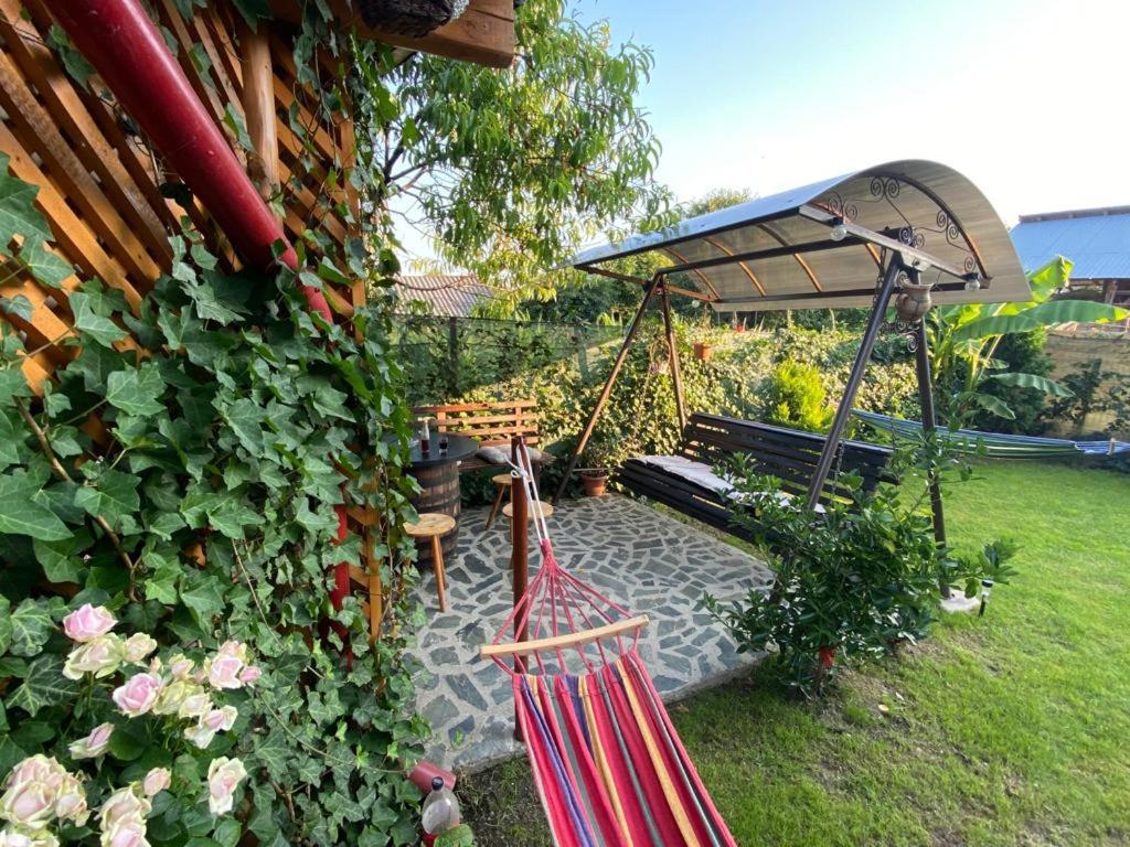 Casa Diana-Maria Apartment Curtea De Arges Bagian luar foto