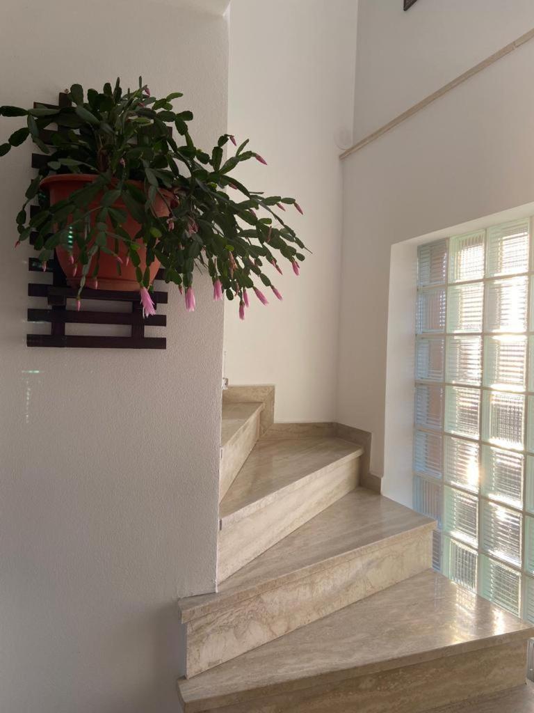 Casa Diana-Maria Apartment Curtea De Arges Bagian luar foto