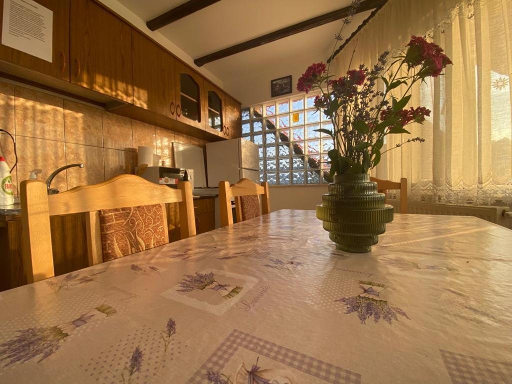 Casa Diana-Maria Apartment Curtea De Arges Bagian luar foto