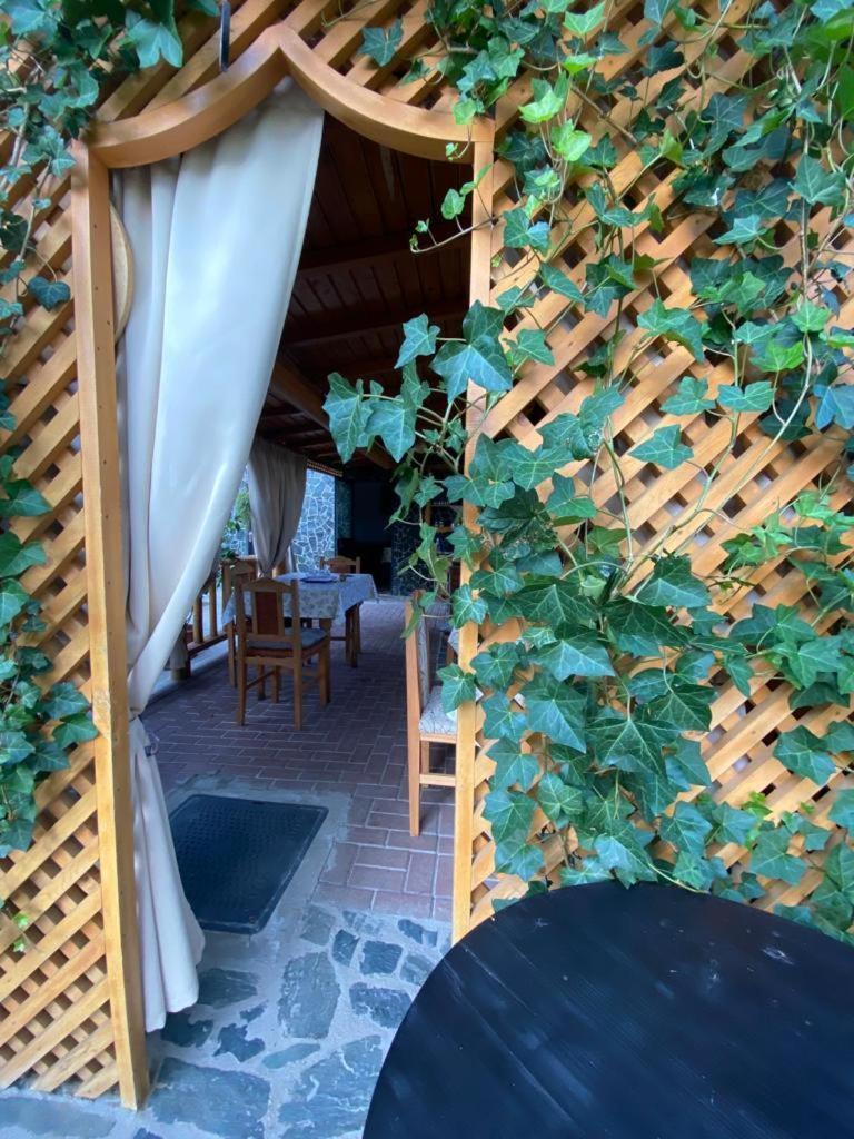 Casa Diana-Maria Apartment Curtea De Arges Bagian luar foto