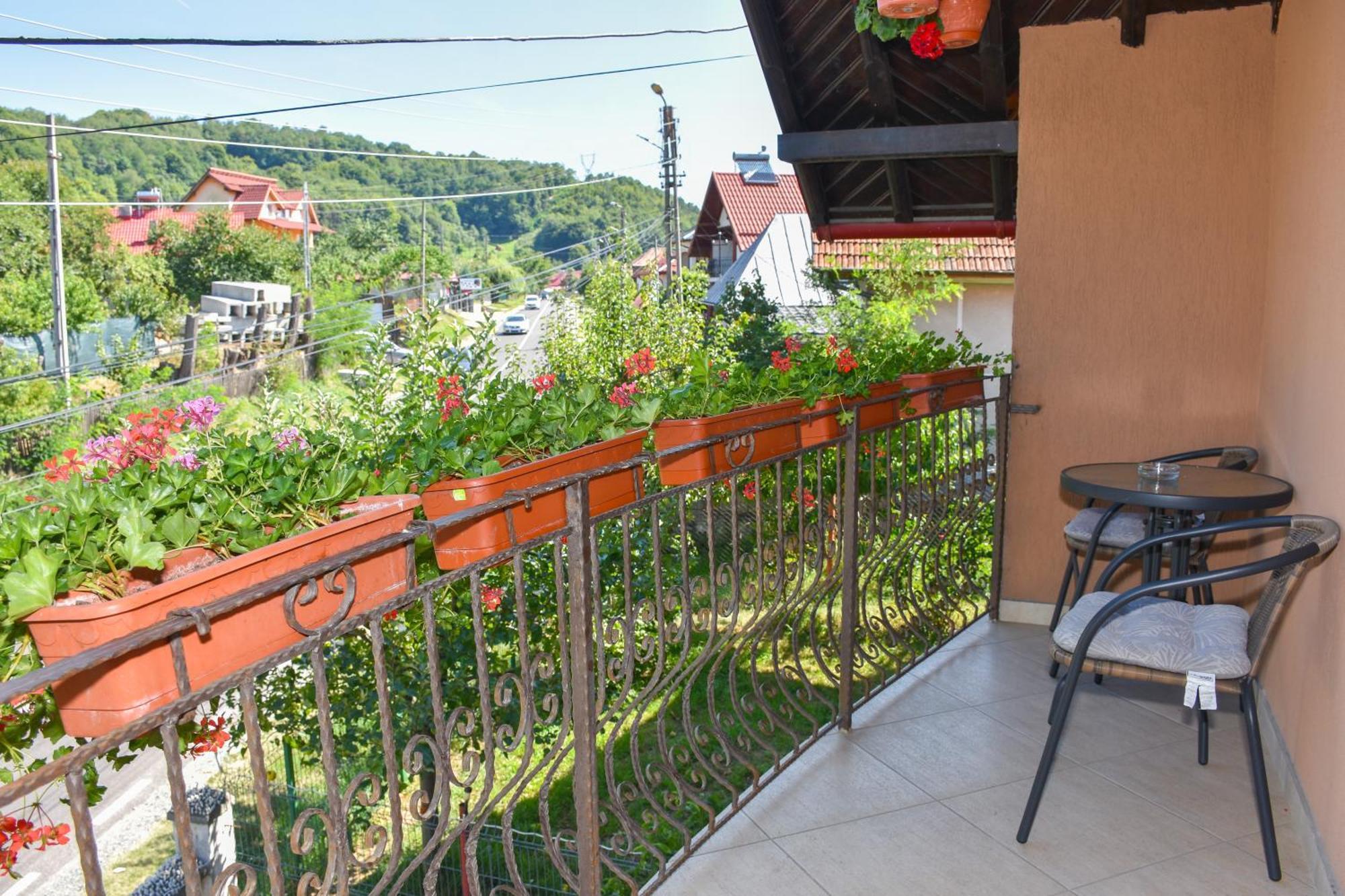 Casa Diana-Maria Apartment Curtea De Arges Bagian luar foto
